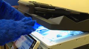 A player, just hoping to that damn mascot search back in 2012. Sixers Trying Again At A Mascot Phillyvoice