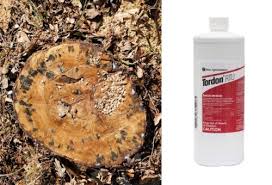 If the tree your killing is under 4 feet you can use a general brush killer. 8 Best Tree Stump Killer Reviews Remove Tree Stumps With Little Hassle 2021