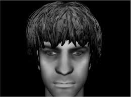 Tomorrow's world: current developments in the therapeutic use of technology  for psychosis