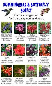Maybe you would like to learn more about one of these? Bernat Pipsqueak Yarn Joann Butterfly Garden Design Plants Hummingbird Garden