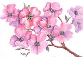 Hier findest du unsere ausmalbilder blumen zum kostenlosen ausdrucken. Bluten Malen Mit Aquarellfarben Blumen Malen Susan Bronsak Wie Malt Man De Zeichnen Lernen Malen Lernen Online Malkurs Mit Acryl Und Olfarbe Malenwie Malt Man De Zeichnen Lernen Malen Lernen Online Malkurs Mit Acryl Und Olfarbe Malen