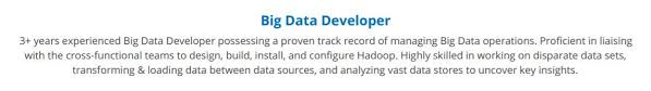 writing an impeccable big data resume