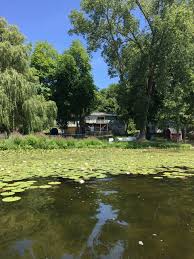 Lakeshore Fix Sandy Beach In A Day The Lilypad Cottage