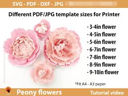 3000 x 2000 jpeg 867 кб. Giant Peony Paper Flowers Template Graphic By Lasquare Info Creative Fabrica