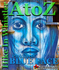 Neal Carter Mountaineer