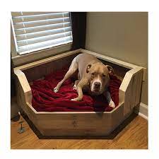 Maybe you would like to learn more about one of these? Cheap Indoor Pet Product Modern Luxury Large Wooden Dog Beds Furniture Wholesale Buy Pet Dog Bed Custom Dog Bed Hot Selling Pet Supplies Wood Modern Dog Sofa Bed Eco Friendly Product On Alibaba Com