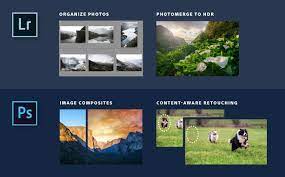 Pin On Photography