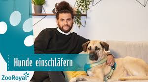 Ab wann schläfert man einen hund ein? Hunde Einschlafern Rund Um Den Hund Mit Masih Samin Zooroyal Youtube