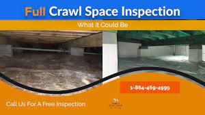 The crawl space is vented with the required amount of vents (code), but the air just doesn't move much under our house. Don T Let Unwanted Crawl Space Pests Take Up Residence Scout S Pest Control