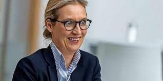 Alice weidel posted on instagram: Afd Spitzenkandidatin Alice Weidel Diese Schweine Sind Nichts Anderes Als Marionetten Haz Hannoversche Allgemeine