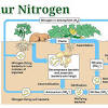 Siklus air, siklus oksigen, siklus karbon, siklus nitrogen, dan 1.3. 1