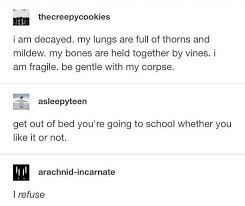 Funny Gems From The Rich Mines Of Tumblr Funny Quotes Tumblr Funny Funny