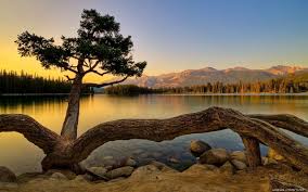 صور احدث خلفيات للطبيعه الساحره خلفيات للطبيعه الخضراء اجمل الصور صور جميلة Hd Pemandangan Fotografi Pemandangan Gambar