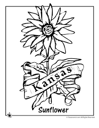 We did not find results for: Kansas State Flower Coloring Page Woo Jr Kids Activities Flower Coloring Pages State Flower Kansas State Flower