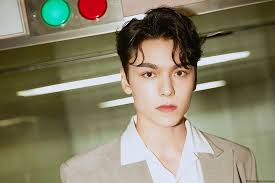 He was born in new york and raised in seoul. Seventeen Vernon Complete Profile Facts And Tmi