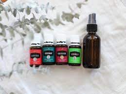 Most essential oils are actually completely safe, which is you'll be happy to know that you can safely rub essential oils on yourself to repel insects. Chemical Free All Natural Diy Bug Spray The Willow Field