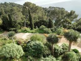 evenements jardin paysager var 83 rayol canadel sur mer fete des plantes vegetal gilles clement