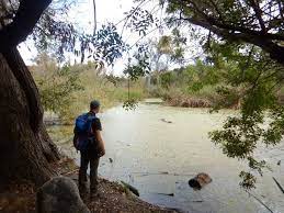 El Dorado Nature Center Is An Oasis In The Middle Of The City Located On The Banks Of The San Gabriel River It Is A Great Place To Get Some Fresh A