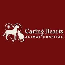 Maybe you would like to learn more about one of these? Veterinarian In Matthews Nc Caring Hearts Animal Hospital