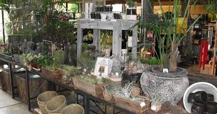 More Terrarium Display Eden Gardens Carseldine Outdoor Decor Terrarium Display Garden Shop