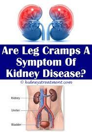 Pin On Kidney Disease