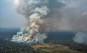 However, visiting the world's largest tropical rainforest is not free of dangers as the forest houses some of the most deadly creatures known to us (and maybe deadlier ones yet to be discovered). Not Just Wildfires Amazon Forest Faces Threat From Mining Land Occupation And Illegal Logging