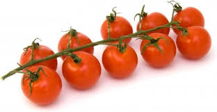 Tomato pictures photos free download