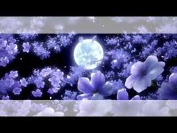 Film beautiful background for intro ferns red sunset background with rocks and trees. Don T Go Background Free Youtube Backgrounds Free Anime Background Meme Background