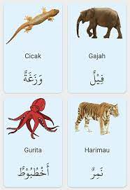 Tapi bila anda menghadapi masalah di atas saya akan memberikan langkah rahasia agar anda bisa belajar bahasa arab dengan cepat dan membuahkan hasil yang nyata hanya dalam waktu 1 bulan. Haiwan Dalam Bahasa Arab Nota Bahasa Arab Facebook