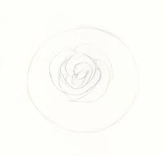 How To Draw Roses An Easy And Complete Step By Step Drawing Demo Begin with drawing a cross in the middle of the paper, use a ruler to make the lines straight and to measure the cross correctly.
