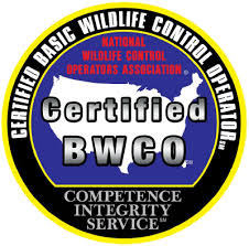 Alliance pest management llc from medford, new jersey, proudly offers termite control services to keep your home protected from the destructive effects of termites. Pest Control Southern New Jersey Safeguard Termite Pest Control