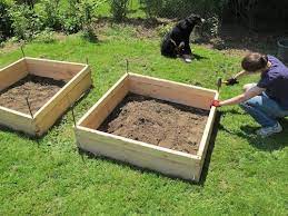 diy raised garden beds raised garden beds raised garden garden boxes