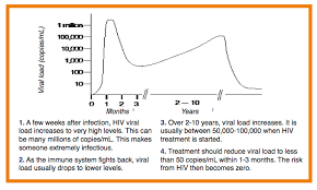 Viral Load Guides Hiv I Base