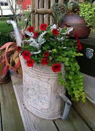 pin by sarah knight on d i y potplante en tuine container flowers container gardening flowers flower pots