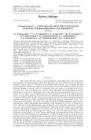 Image result for Crotalaria prolongata