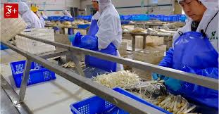 Toni kroos (real madrid), thomas mueller (bayern munich), jamal musiala (bayern munich), florian neuhaus (borussia. Borussia Monchengladbach Heiratsantrage Fur Neuhaus In China Bundesliga Bei Bild