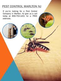 We specialize in all aspects of pest and insect control including: Pest Control Berlin Nj By Pest Control Berlin Nj Issuu