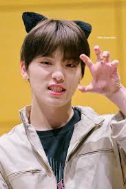 Joy, anger, sorrow & pleasure. 10 Potret Manis Dan Imut Dino Svt Yang Bikin Gemas