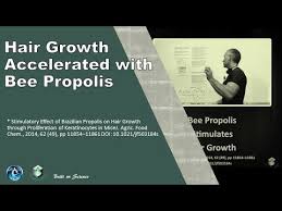 That being said, using bee pollen for hair growth is quite effective for most people, especially when combined with the proper supporting nutrients. Hair Growth Accelerated With Bee Propolis