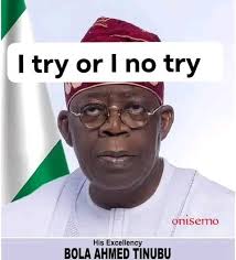 My Golden Touch food warmer, my so happy right now. ❤️  #everyonehighlightsfollowers #everyonehighlightsfollowerseveryone  #engagement #viral #followers #duet.