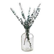 Wide Neck Clear Glass Vase World Market