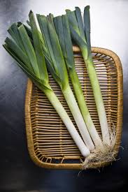 Comment Bien Cultiver Les Poireaux Potager D Hiver Poireaux Potager