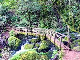 Save up to 50% on your reservation. Cataract Falls Loop Marin County California Firtop