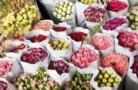 Welcome to pike place fish market. Kowloon Markets Birds Flowers Fish Jade And Fruits Bluebalu