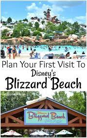 Cool Off At The Coolest Disney Water Park Disney Blizzard Beach Plan Your Fist Visit To Disney S Disney Blizzard Beach Disney World Water Parks Beach Disney