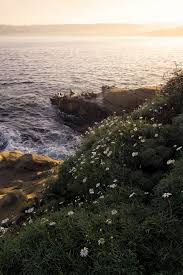 Maybe you would like to learn more about one of these? La Jolla Cove