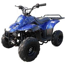 Maybe you would like to learn more about one of these? 110cc Gas Atv Kids With 6inch Wheel Electric Start Remote Shut Off Switch Redfoxpowersports