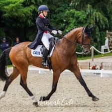 Horse rider tiggy hancock, 15, was described as a rising star in showjumping events. Fow7cdwf8alo2m