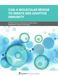 Pdf C1q A Molecular Bridge To Innate And Adaptive Immunity