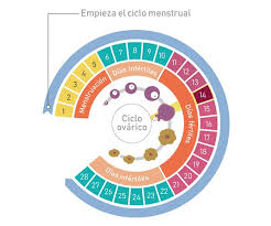 A.1 Erritmoaren metodoa (Ogino-Knauss):
Emakumezkoaren antzualdien dedukzio metodo bat da, ziklo menstrualen
behaketaren bita